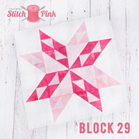 Stitch Pink Archive SM 29