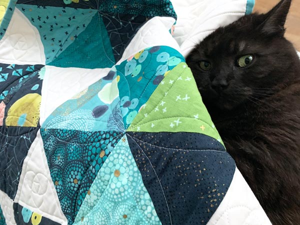 CT UnBoxed Dance In Paris Quilt Cat