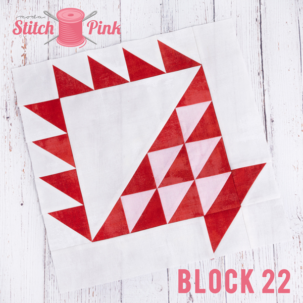 Stitch Pink Block 22 Something Special